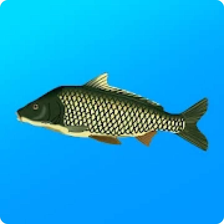 Реальная Рыбалка