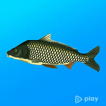 Реальная Рыбалка