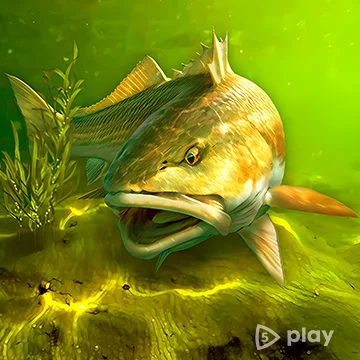 My Fishing World