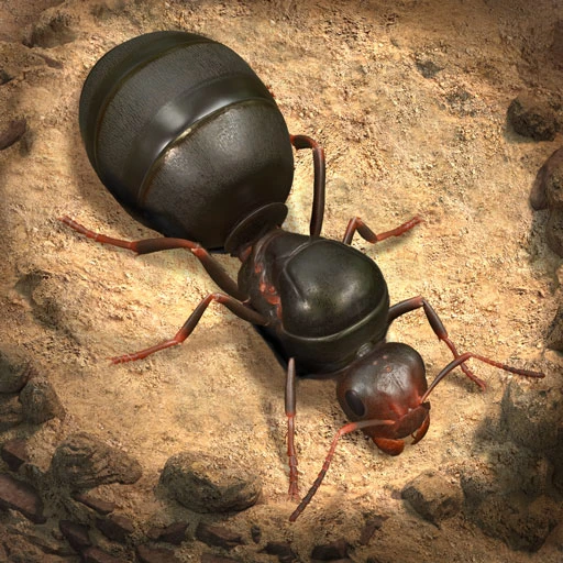 The Ants: Подземное королевство