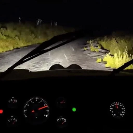 Бесконечная ночная поездка