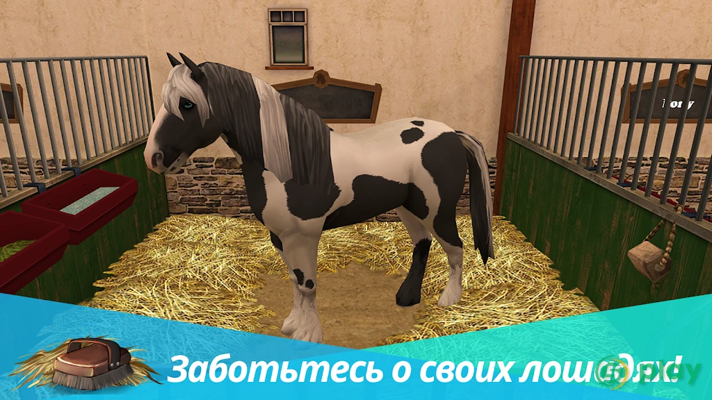 Horse World Premium – игра о лошадях — скриншот 1
