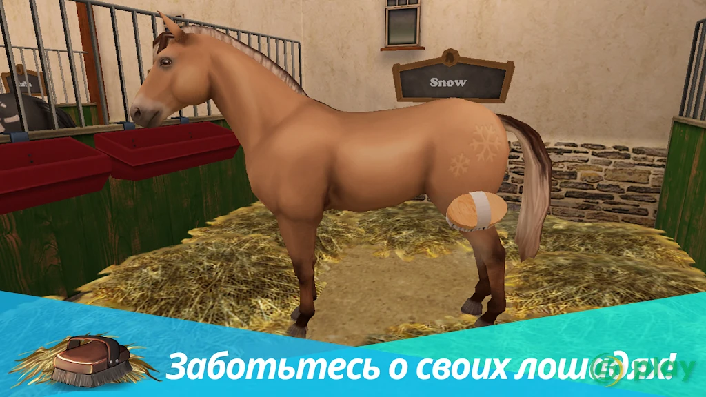 Horse World Premium – игра о лошадях — скриншот 10