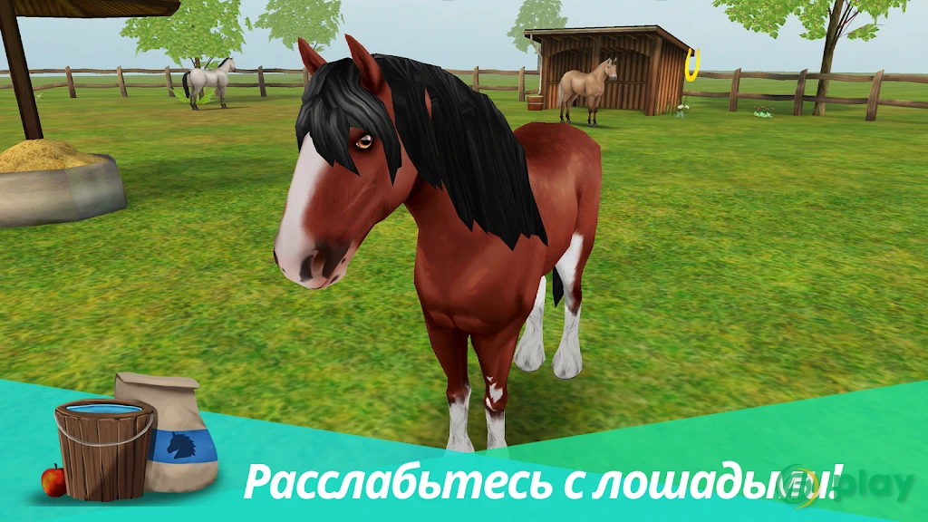 Horse World Premium – игра о лошадях — скриншот 13