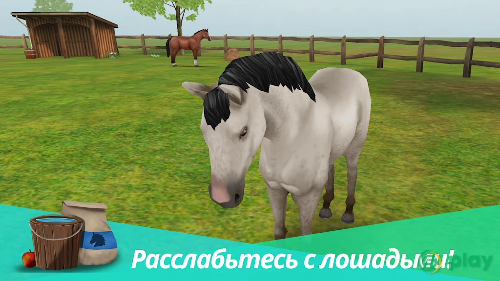 Horse World Premium – игра о лошадях — скриншот 6