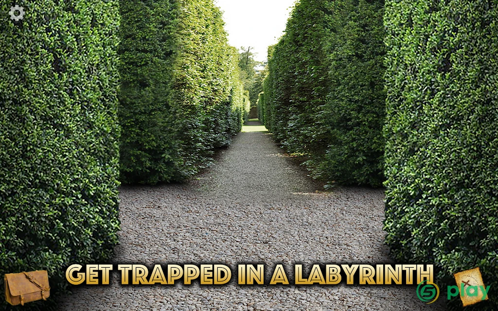 The Mystery of Blackthorn Castle — скриншот 15