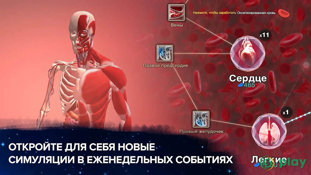 Эволюция никогда не заканчивается — скриншот 1